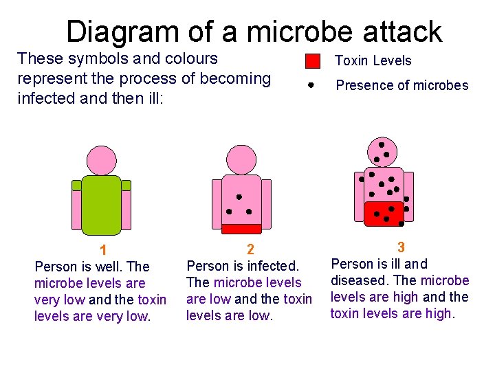 Diagram of a microbe attack These symbols and colours represent the process of becoming