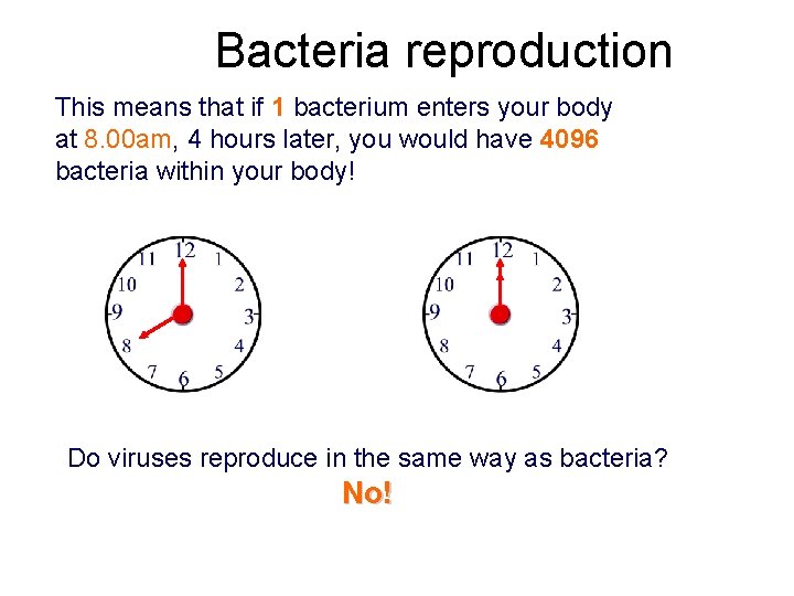 Bacteria reproduction This means that if 1 bacterium enters your body at 8. 00
