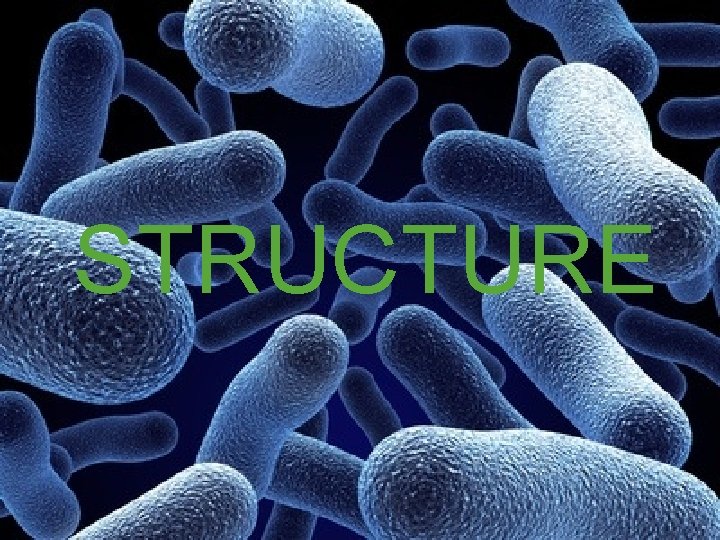 STRUCTURE 