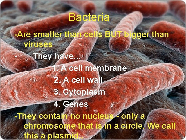 Bacteria -Are smaller than cells BUT bigger than viruses They have… 1. A cell