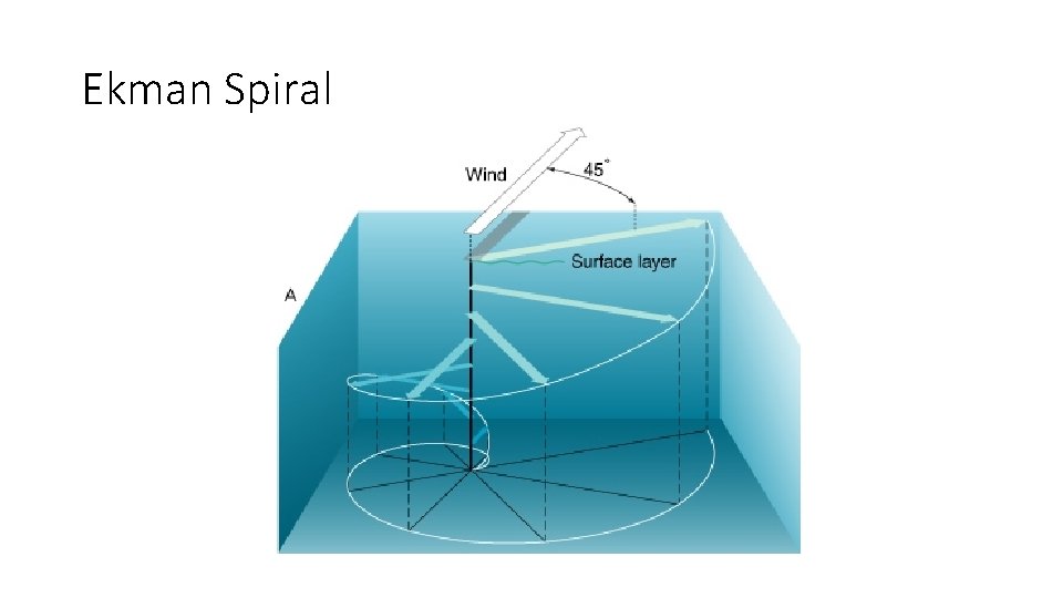 Ocean Circulation Global Surface Currents http www classzone