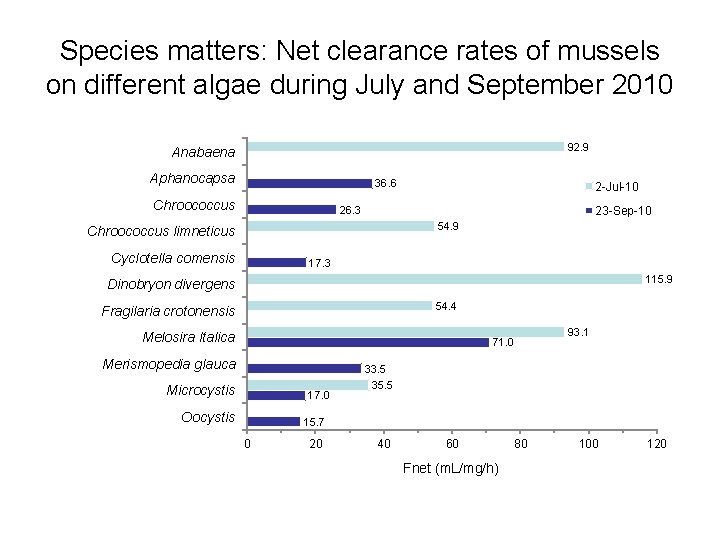 Species matters: Net clearance rates of mussels on different algae during July and September