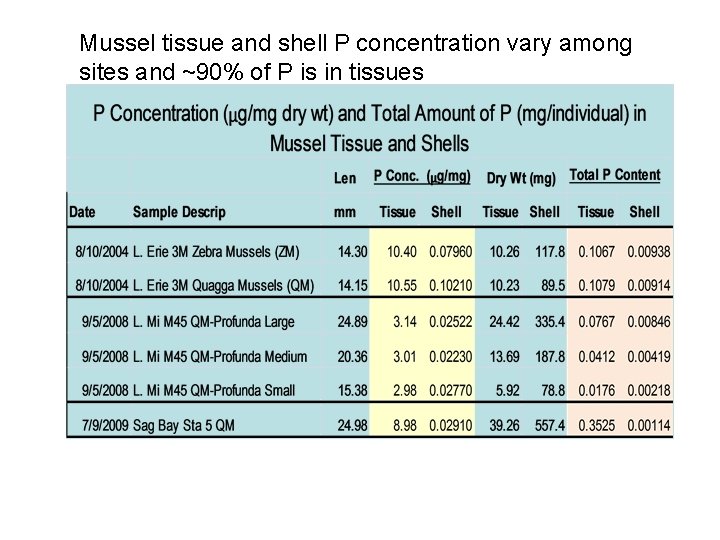 Mussel tissue and shell P concentration vary among sites and ~90% of P is