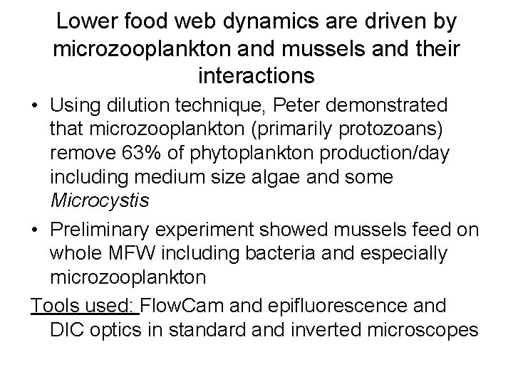 Lower food web dynamics are driven by microzooplankton and mussels and their interactions •