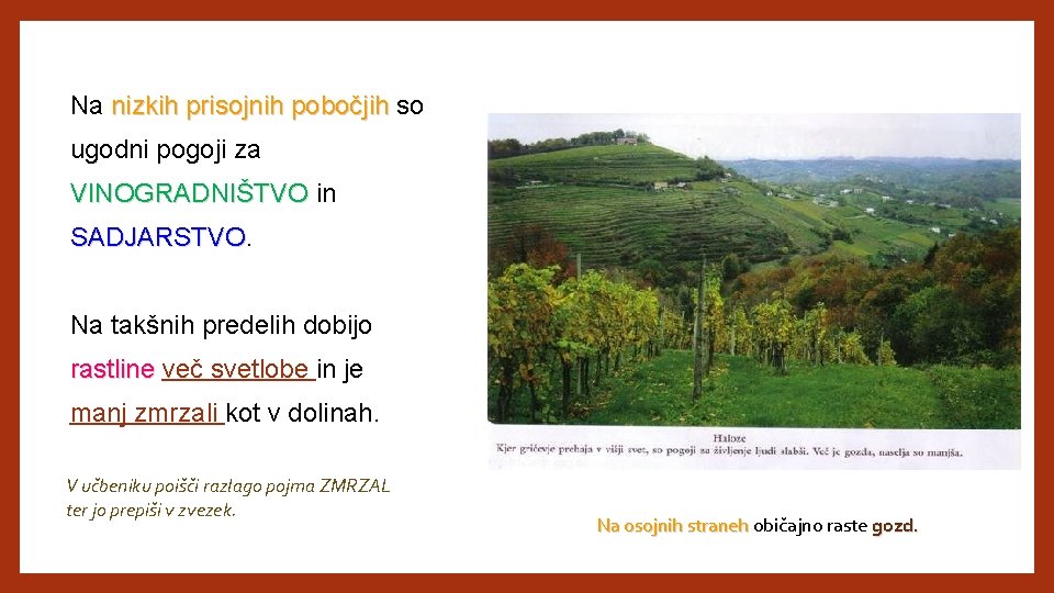 Na nizkih prisojnih pobočjih so ugodni pogoji za VINOGRADNIŠTVO in SADJARSTVO Na takšnih predelih