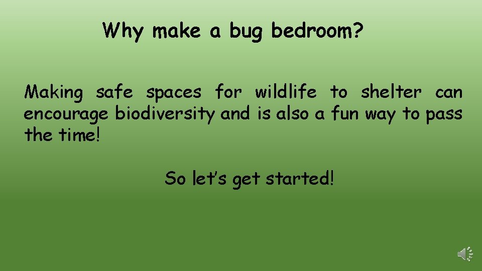 Why make a bug bedroom? Making safe spaces for wildlife to shelter can encourage