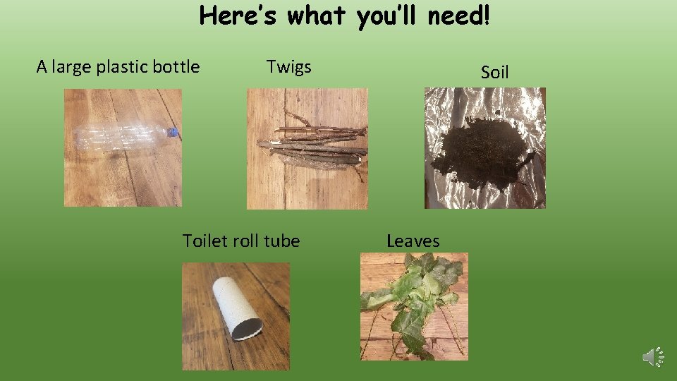 Here’s what you’ll need! A large plastic bottle Twigs Toilet roll tube Soil Leaves