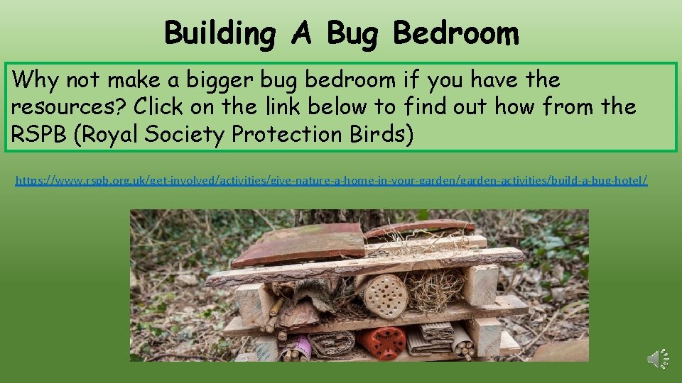Building A Bug Bedroom Why not make a bigger bug bedroom if you have