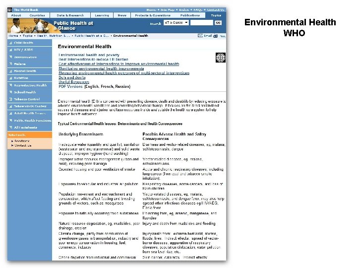Environmental Health WHO 