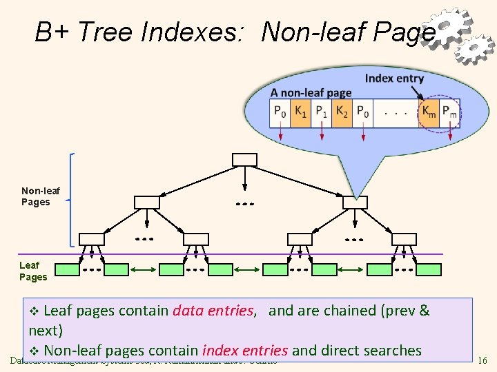 B+ Tree Indexes: Non-leaf Pages Leaf pages contain data entries, and are chained (prev