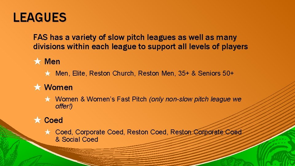 LEAGUES FAS has a variety of slow pitch leagues as well as many divisions