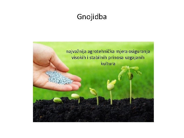 Gnojidba najvažnija agrotehnička mjera osiguranja visokih i stabilnih prinosa uzgajanih kultura 
