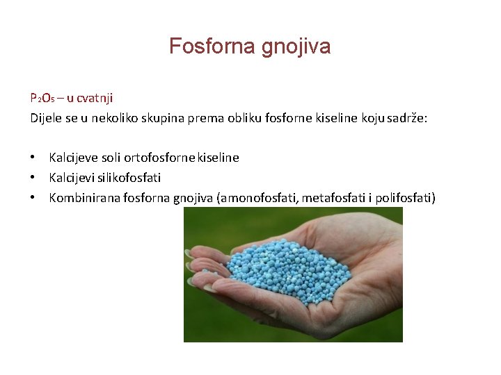 Fosforna gnojiva P 2 O 5 – u cvatnji Dijele se u nekoliko skupina