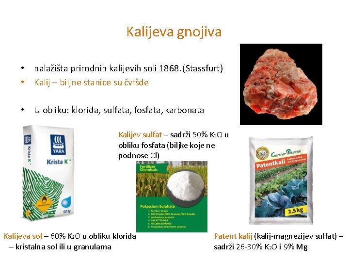Kalijeva gnojiva • nalažišta prirodnih kalijevih soli 1868. (Stassfurt) • Kalij – biljne stanice