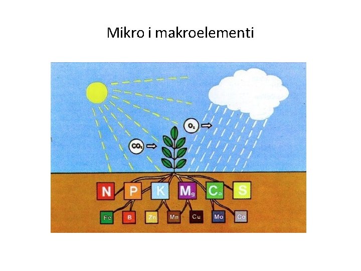 Mikro i makroelementi 
