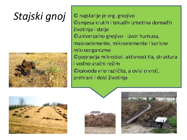 Stajski gnoj © najstarije je org. gnojivo ©smjesa krutih i tekudih izmetina domadih životinja