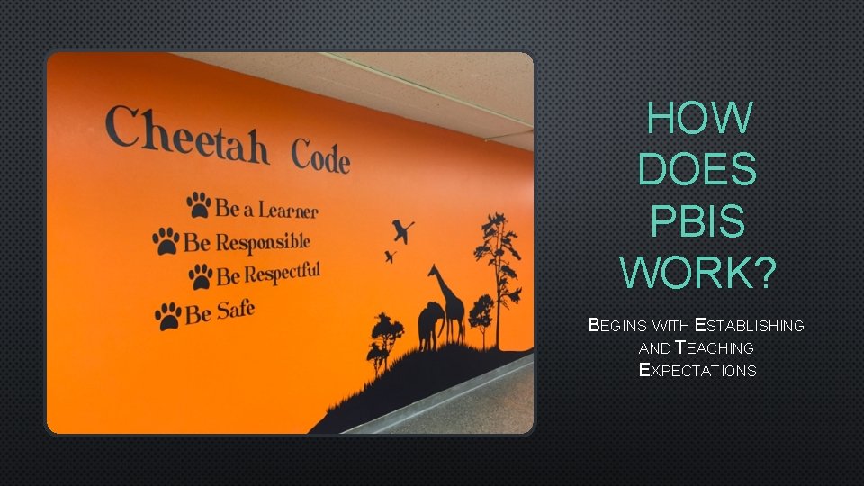 HOW DOES PBIS WORK? BEGINS WITH ESTABLISHING AND TEACHING EXPECTATIONS 