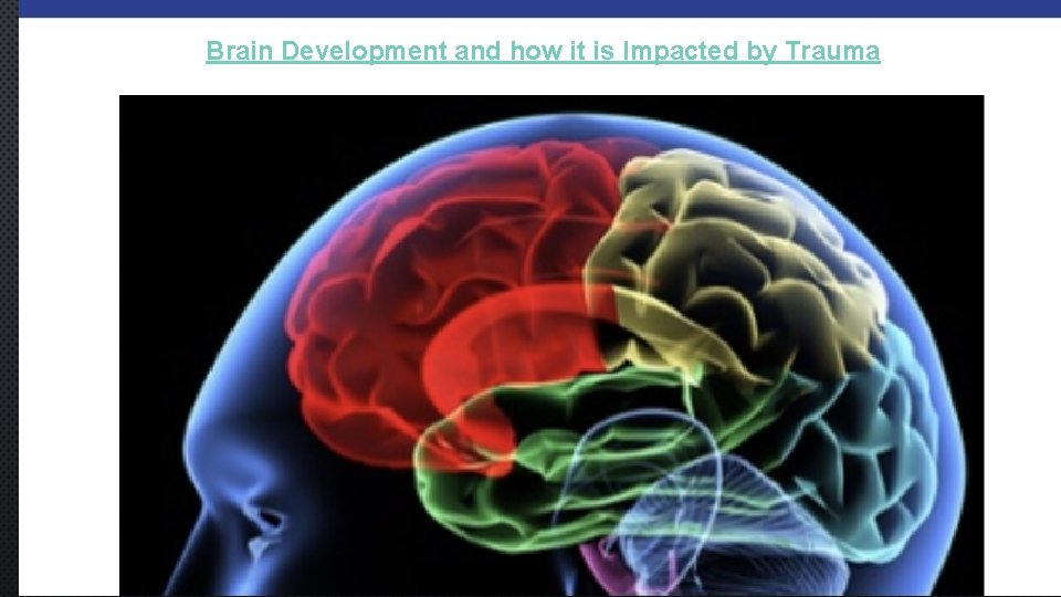 Brain Development and how it is Impacted by Trauma 