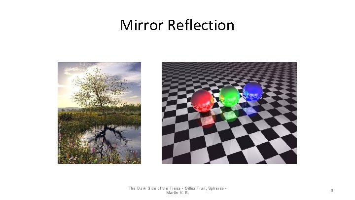 Mirror Reflection The Dark Side of the Trees - Gilles Tran, Spheres Martin K.