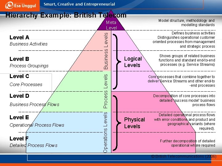 Hierarchy Example: British Telecom Level A Business Activities Level B Process Groupings Level C