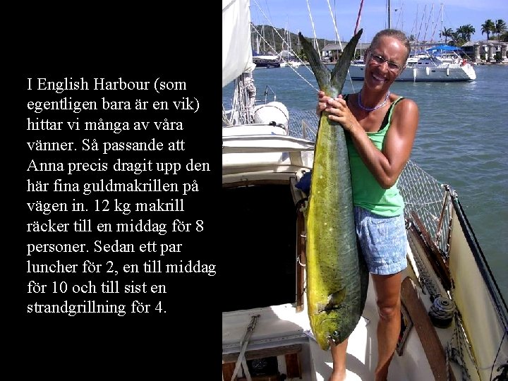 I English Harbour (som egentligen bara är en vik) hittar vi många av våra