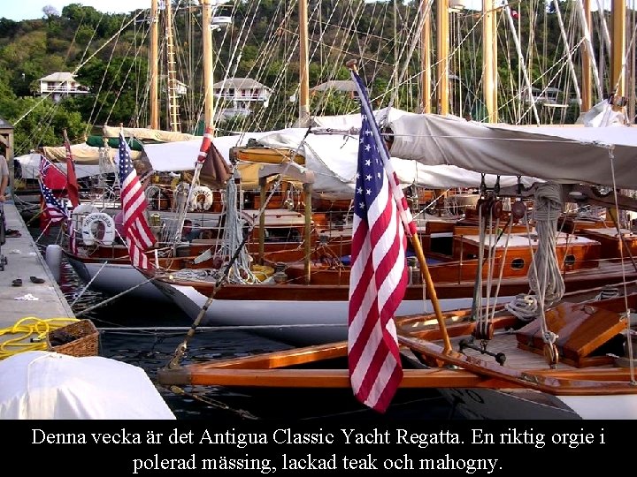 Denna vecka är det Antigua Classic Yacht Regatta. En riktig orgie i polerad mässing,