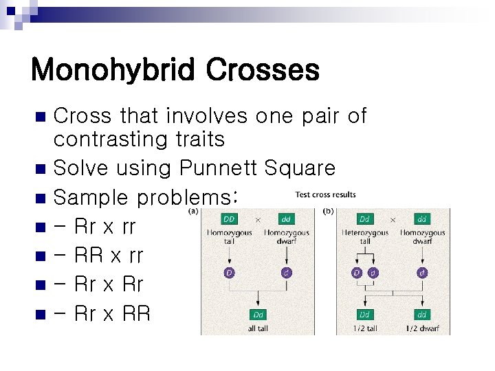Monohybrid Crosses Cross that involves one pair of contrasting traits n Solve using Punnett Monohybrid Crosses Cross that involves one pair of contrasting traits n Solve using Punnett