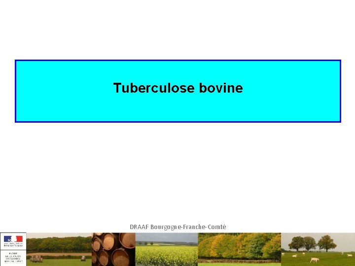 Tuberculose bovine DRAAF Bourgogne-Franche-Comté 