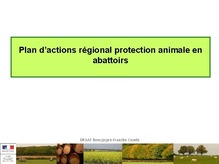 Plan d’actions régional protection animale en abattoirs DRAAF Bourgogne-Franche-Comté 