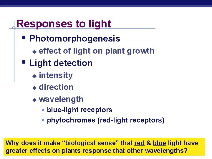 Responses to light § Photomorphogenesis u effect of light on plant growth § Light