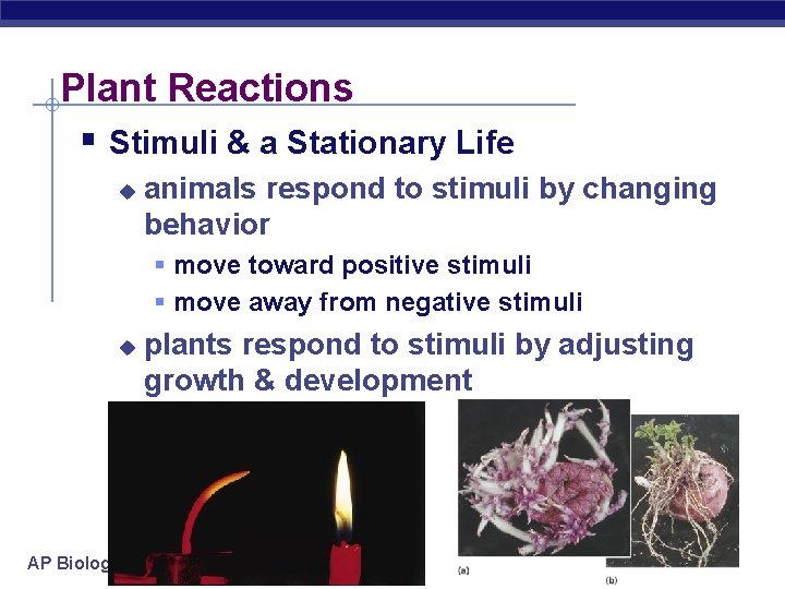 Plant Reactions § Stimuli & a Stationary Life u animals respond to stimuli by