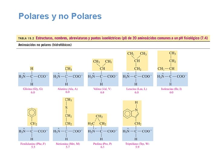 Polares y no Polares 
