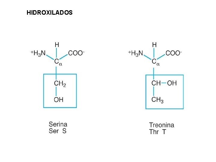 HIDROXILADOS 