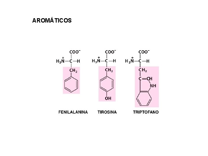 AROMÁTICOS 