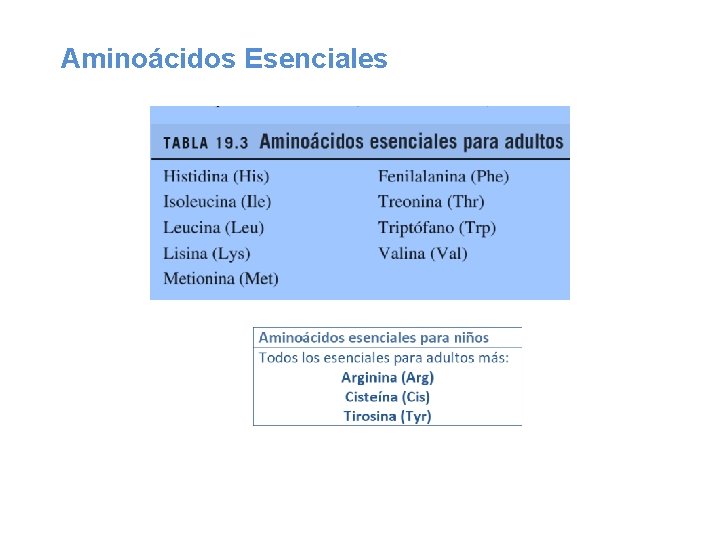 Aminoácidos Esenciales 