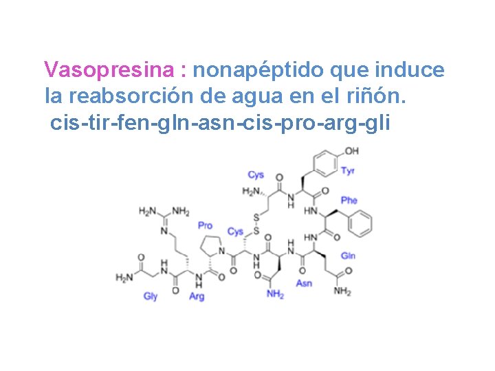 Vasopresina : nonapéptido que induce la reabsorción de agua en el riñón. cis-tir-fen-gln-asn-cis-pro-arg-gli 