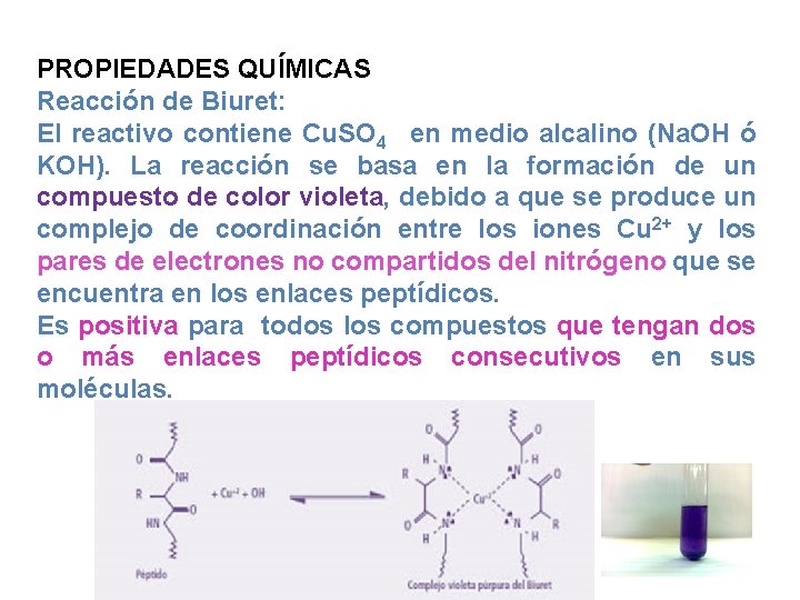 PROPIEDADES QUÍMICAS Reacción de Biuret: El reactivo contiene Cu. SO 4 en medio alcalino
