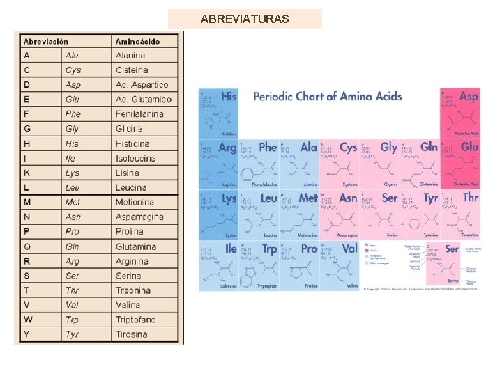 ABREVIATURAS 