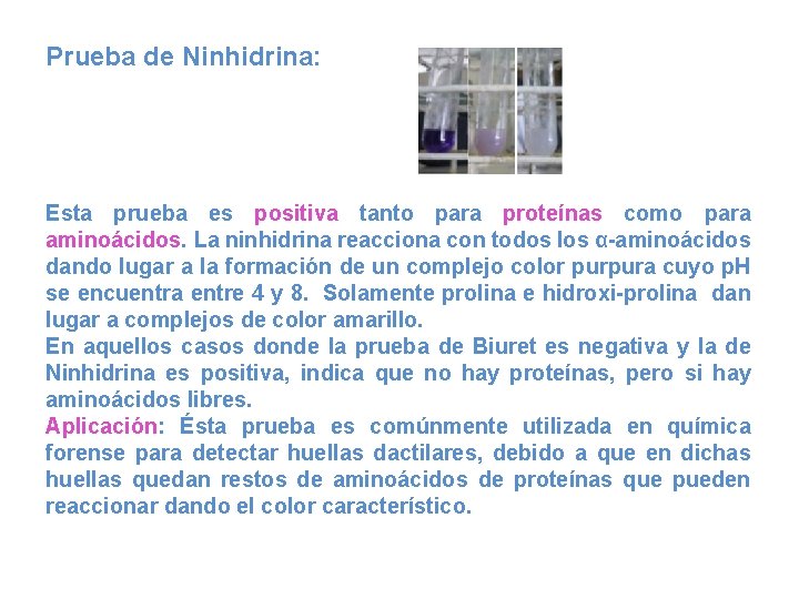 Prueba de Ninhidrina: Esta prueba es positiva tanto para proteínas como para aminoácidos. La