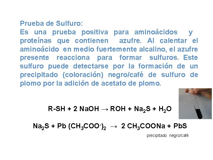 Prueba de Sulfuro: Es una prueba positiva para aminoácidos y proteínas que contienen azufre.