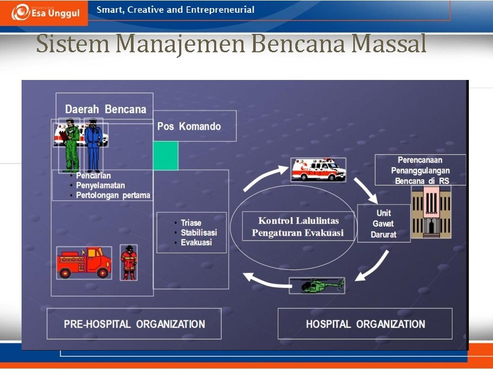 Sistem Manajemen Bencana Massal 