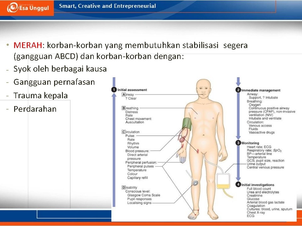  • MERAH: korban-korban yang membutuhkan stabilisasi segera (gangguan ABCD) dan korban-korban dengan: -