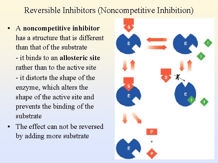 Reversible Inhibitors (Noncompetitive Inhibition) • A noncompetitive inhibitor has a structure that is different