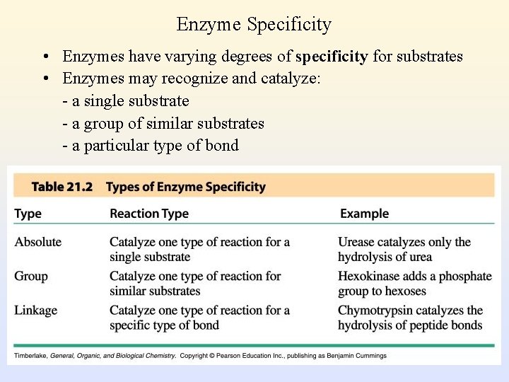 Enzyme Specificity • Enzymes have varying degrees of specificity for substrates • Enzymes may