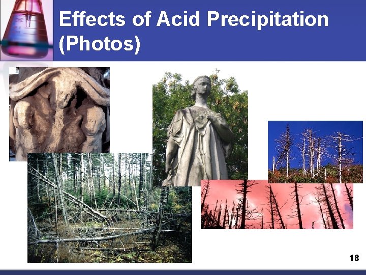Effects of Acid Precipitation (Photos) 18 