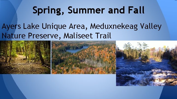 Spring, Summer and Fall Ayers Lake Unique Area, Meduxnekeag Valley Nature Preserve, Maliseet Trail