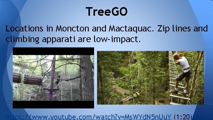 Tree. GO Locations in Moncton and Mactaquac. Zip lines and climbing apparati are low-impact.