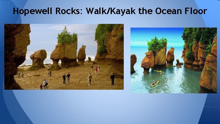 Hopewell Rocks: Walk/Kayak the Ocean Floor 