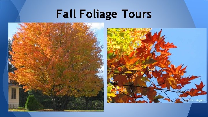 Fall Foliage Tours 