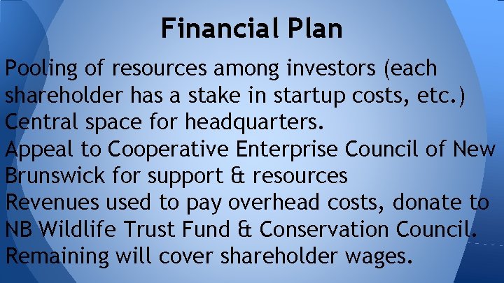 Financial Plan Pooling of resources among investors (each shareholder has a stake in startup